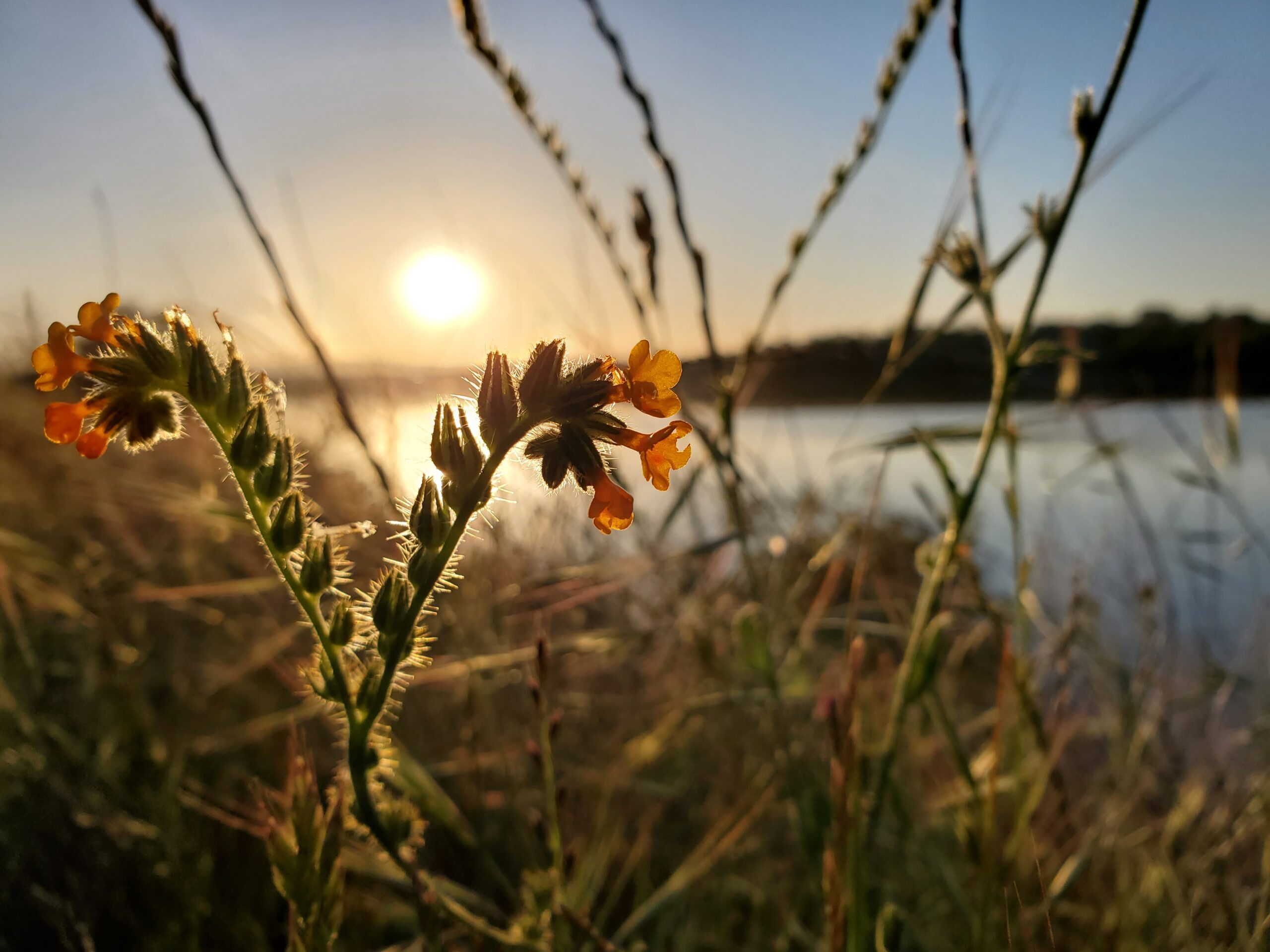 Forest Bathing - Connection with the Earth - April 21st