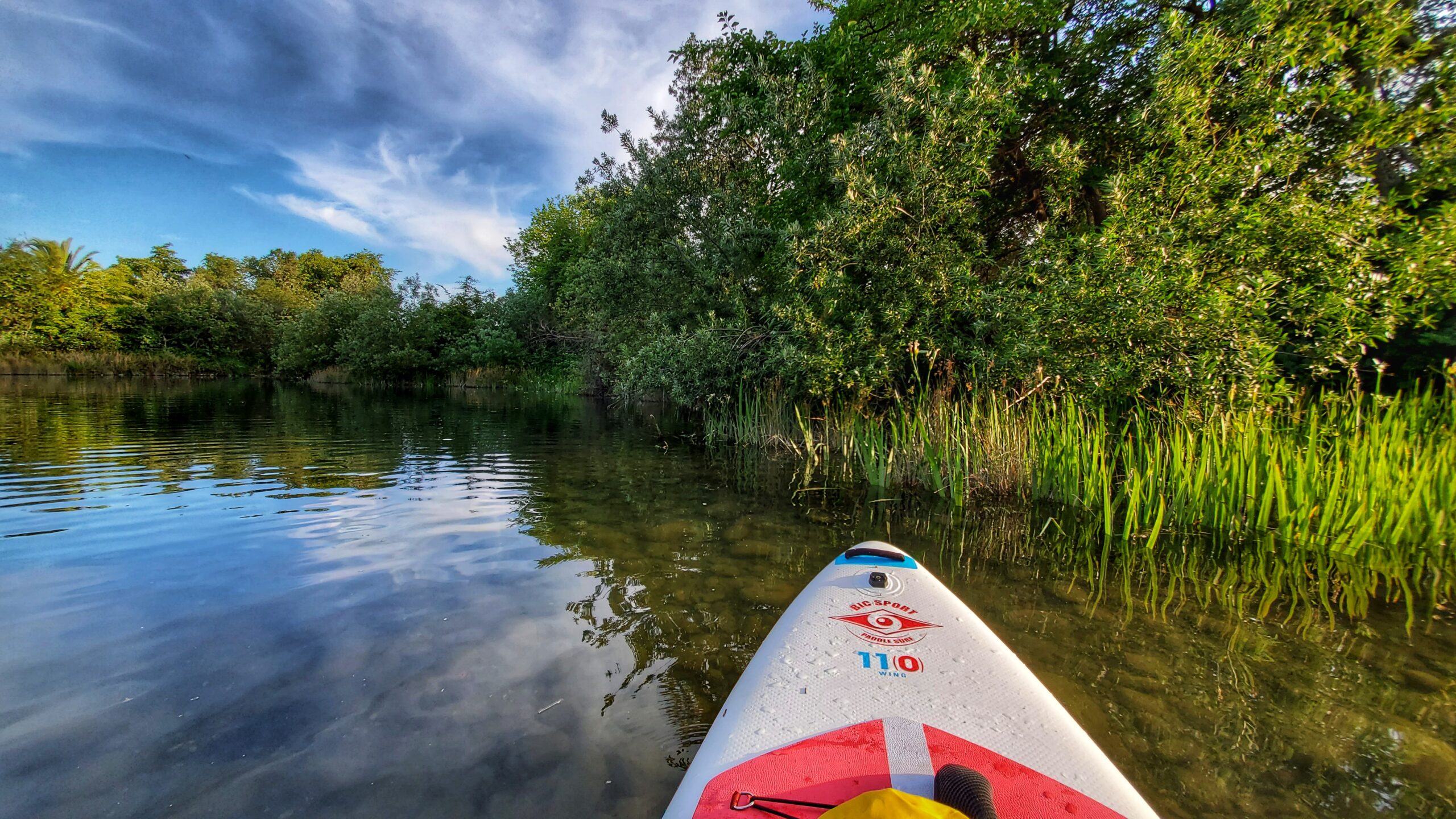 Kayak / Paddleboarding - Forest Bathing