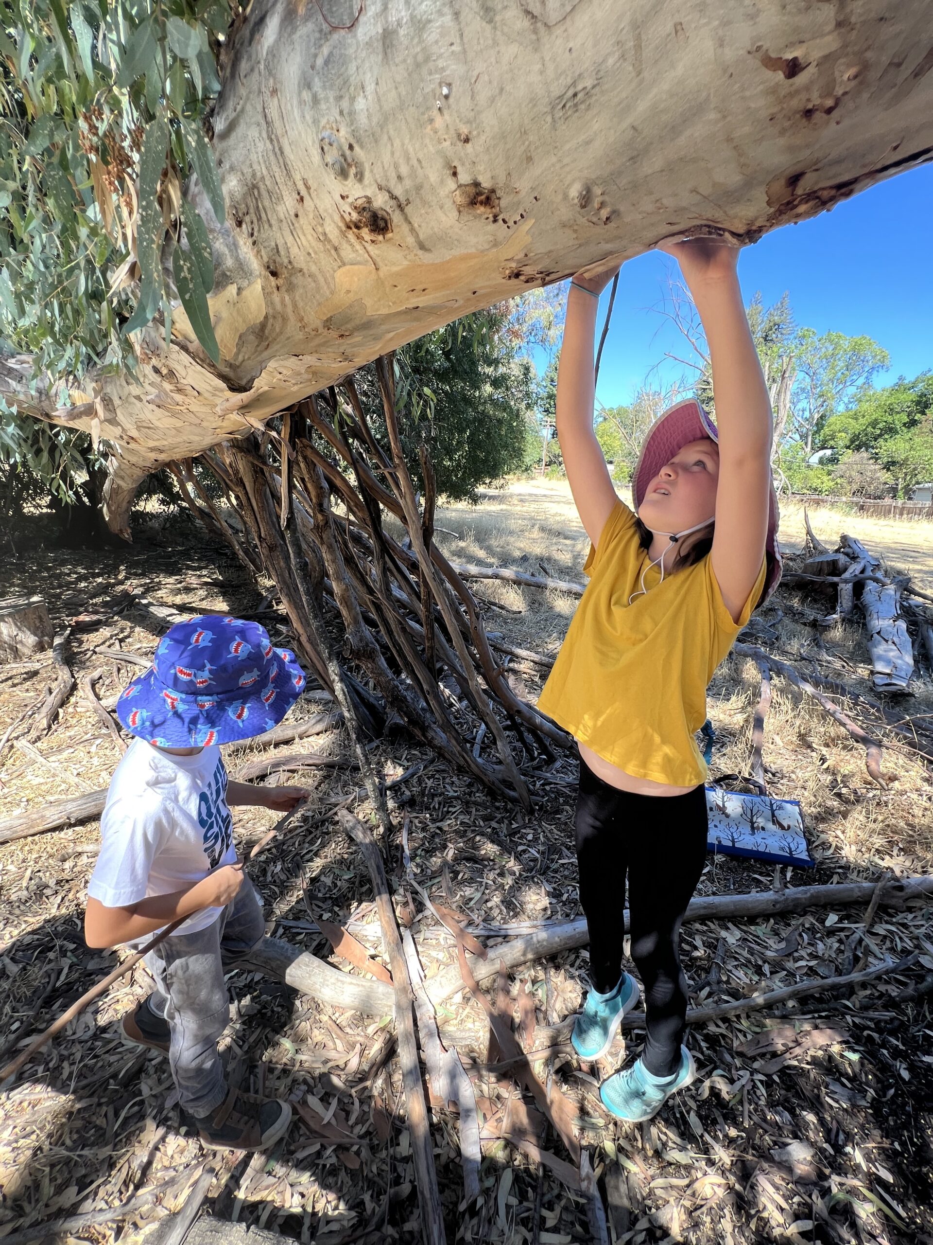 Kid's Forest Bathing - Friday, May 17th