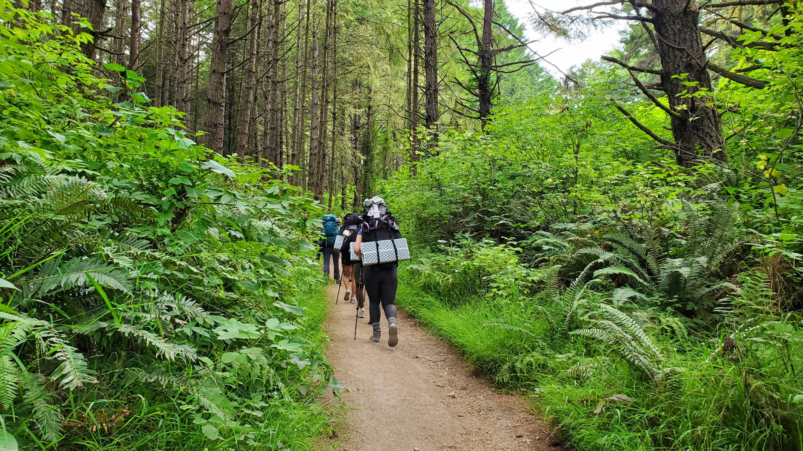 Women's Beginner Backpacking RETREAT to Point Reyes (Wildcat Camp) - 3 Days / 2 Nights (October 6th - 8th)