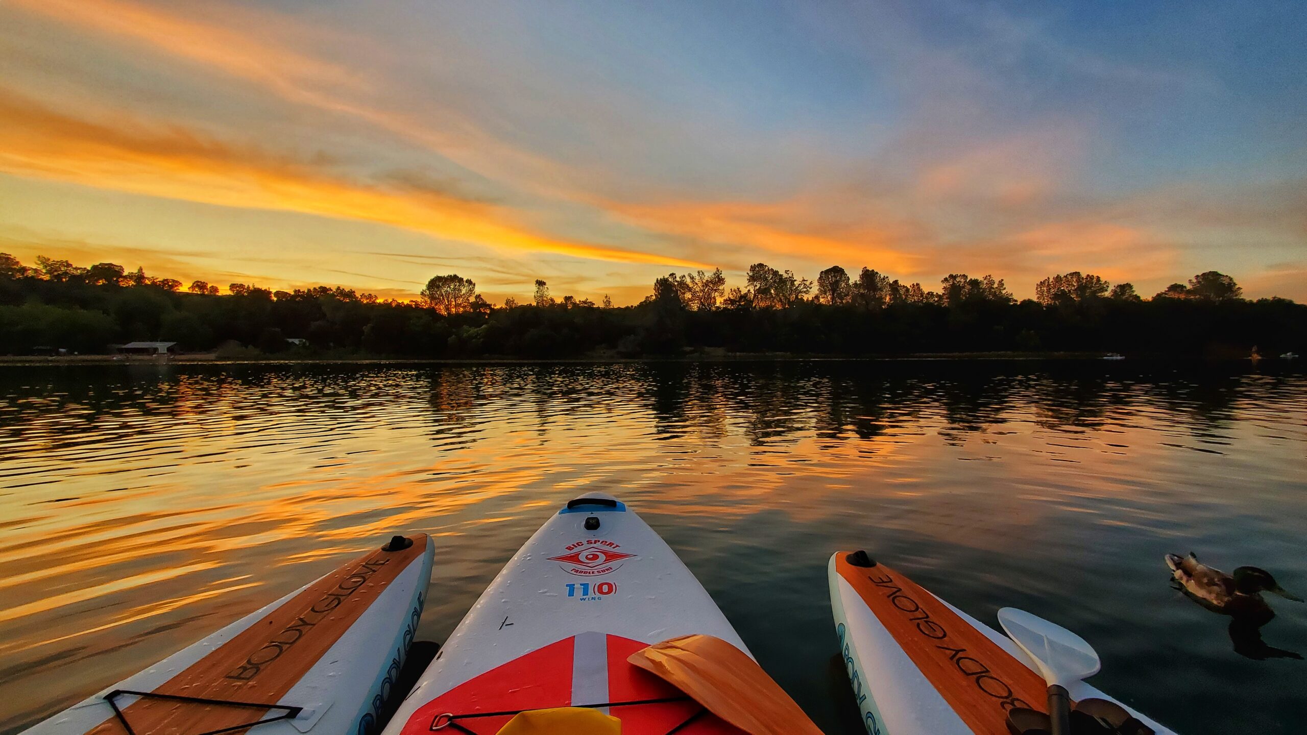 Evening Forest Bathing Journey on Water